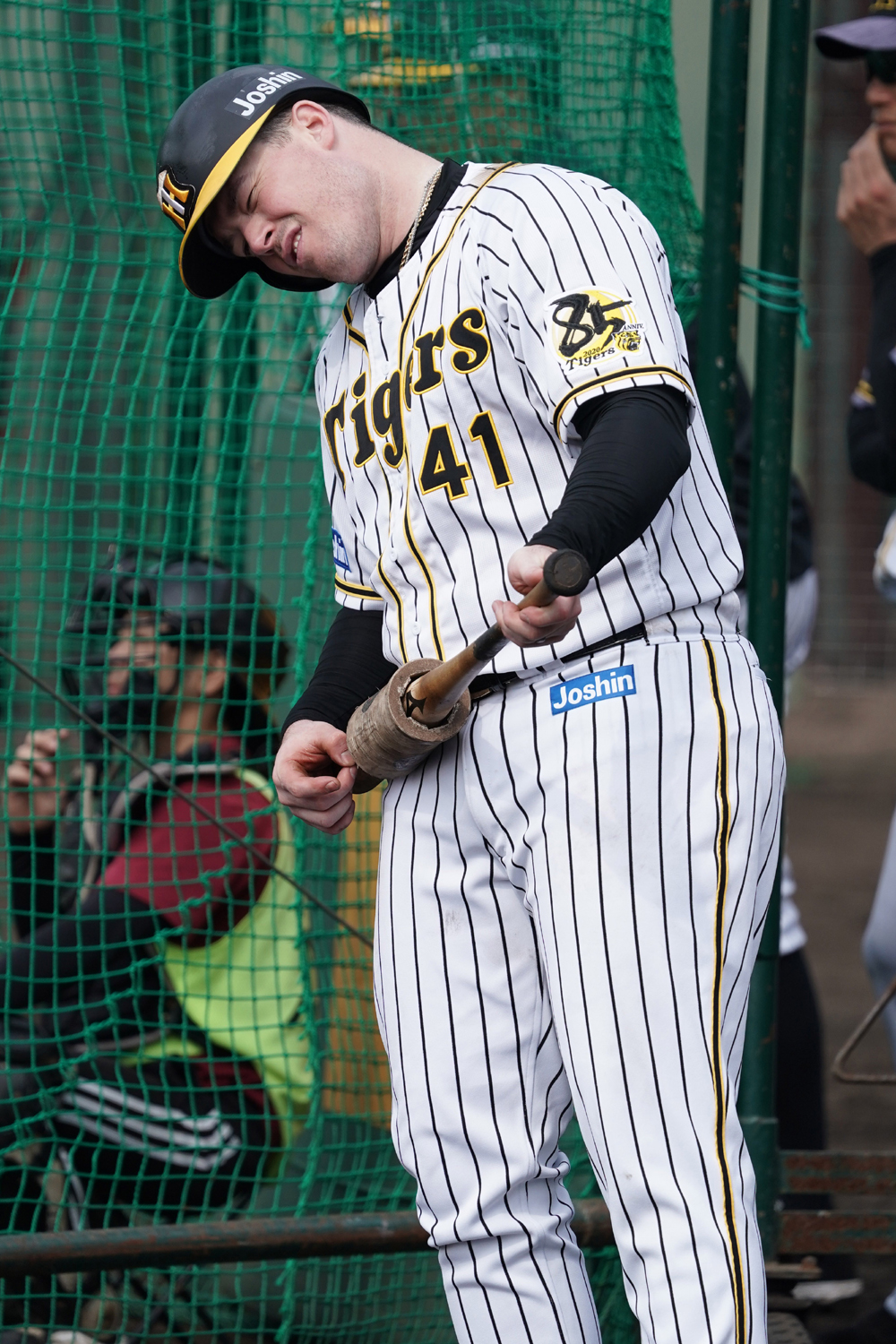 年プロ野球 私的 グッドショット集 前編 mフォトギャラリー27 mスポーツ ベースボール マガジン社