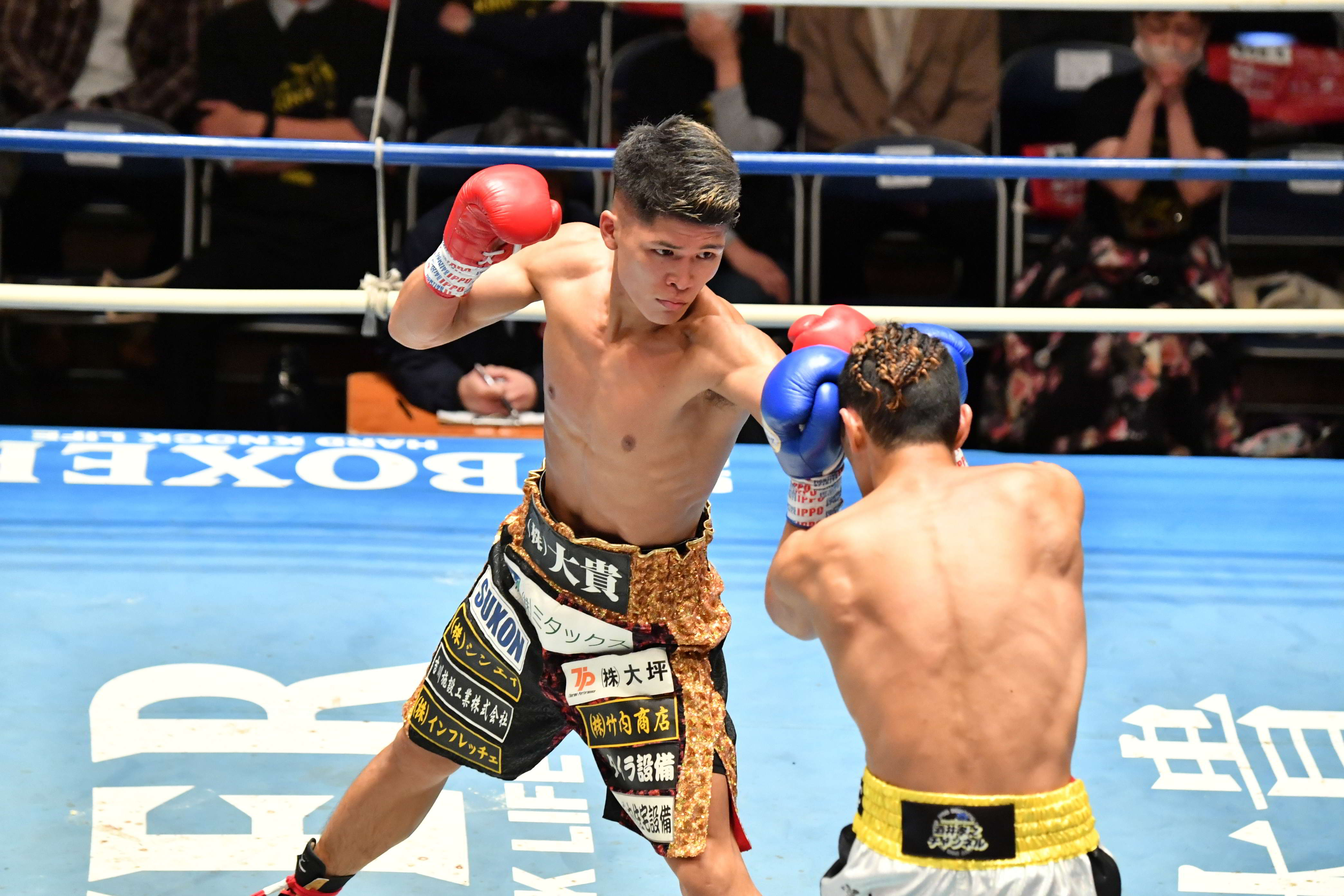 ボクシング 宇津木秀、貫禄の2回TKO勝ち WBO-APライト級V2 – Boxing News