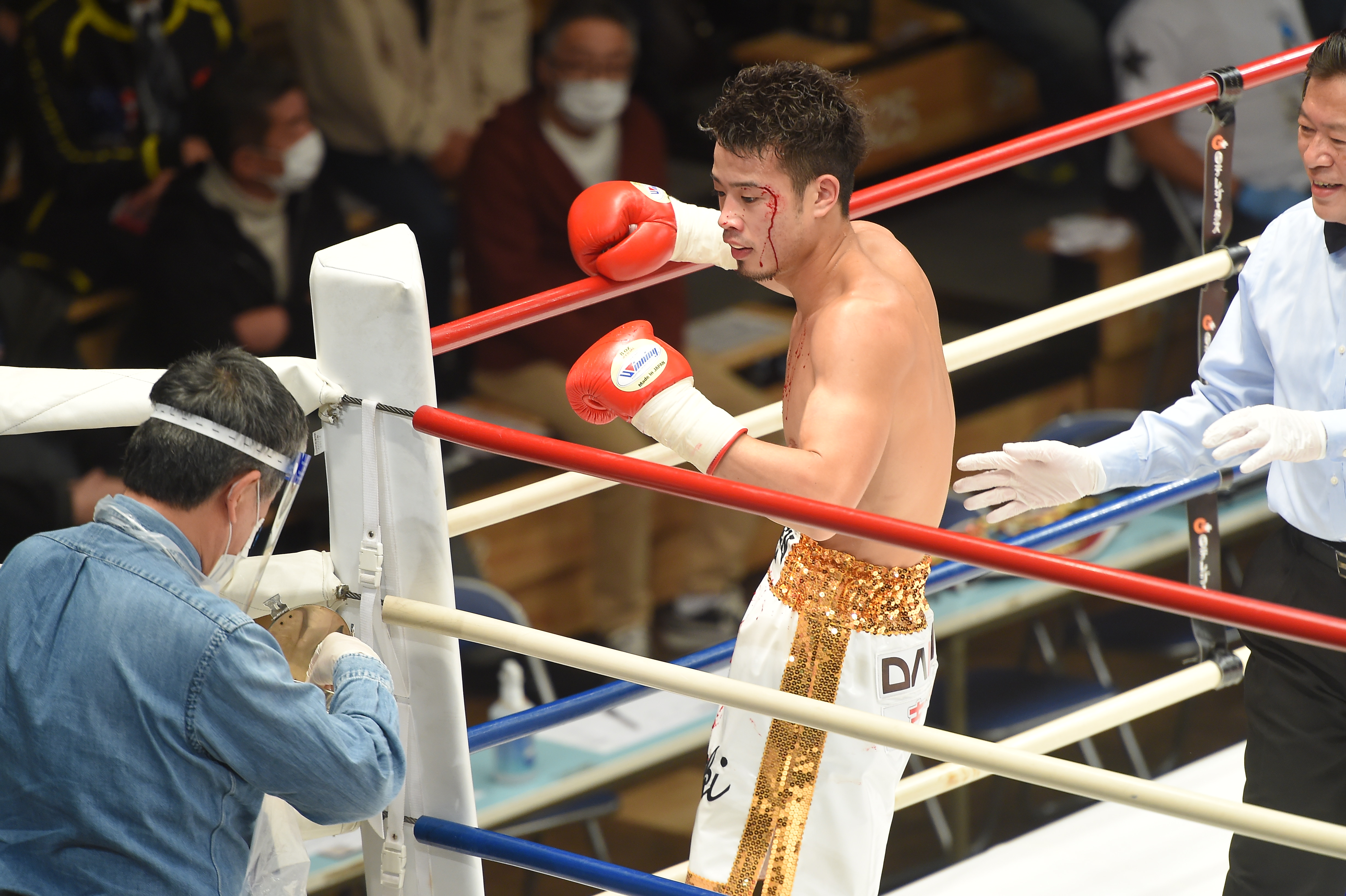 ボクシング】辰吉寿以輝、無念の負傷ドロー | BBMスポーツ | ベース