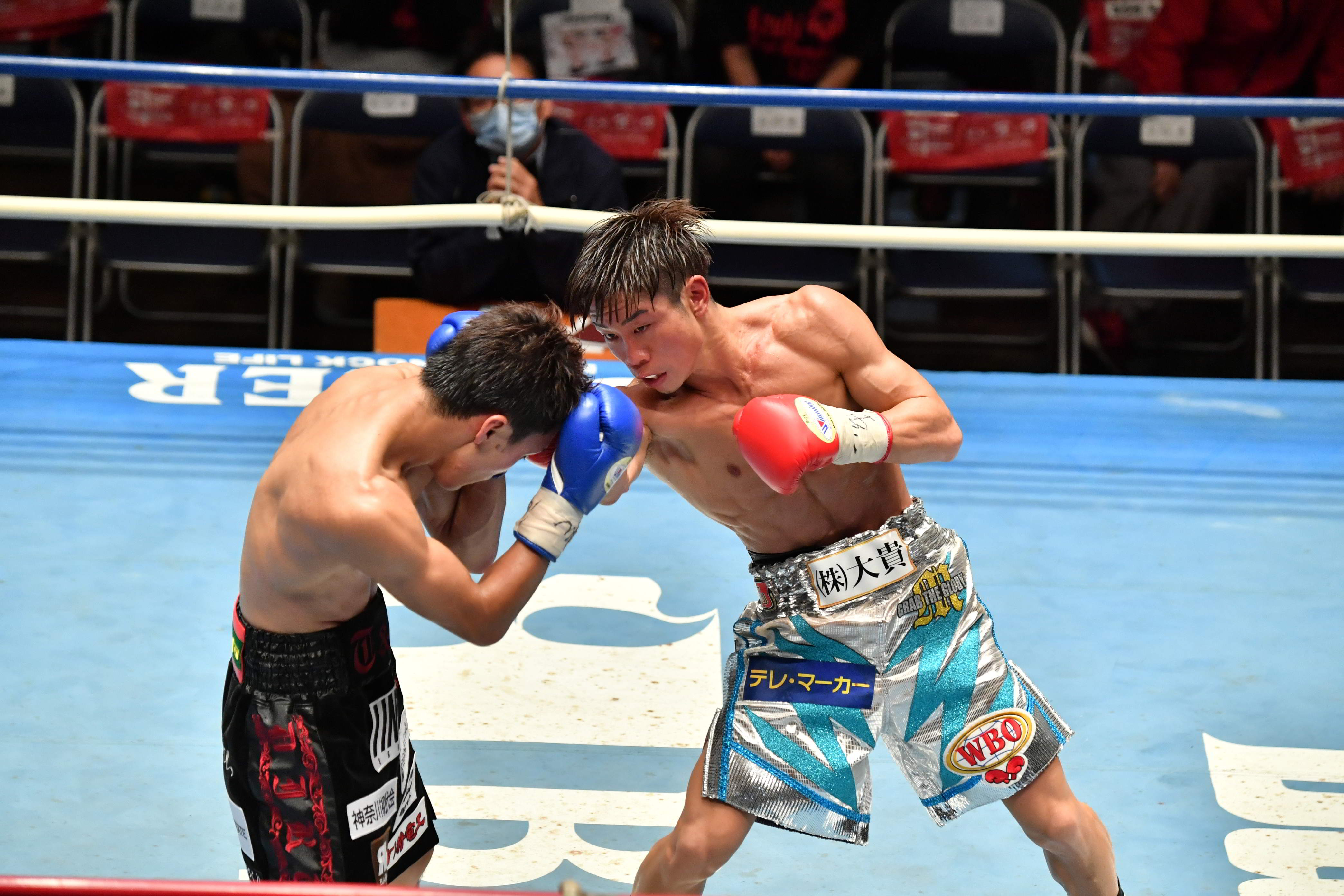 1年半ぶりミニマム級日本タイトル戦 谷口将隆が圧勝で新チャンピオンに Bbmスポーツ ベースボール マガジン社