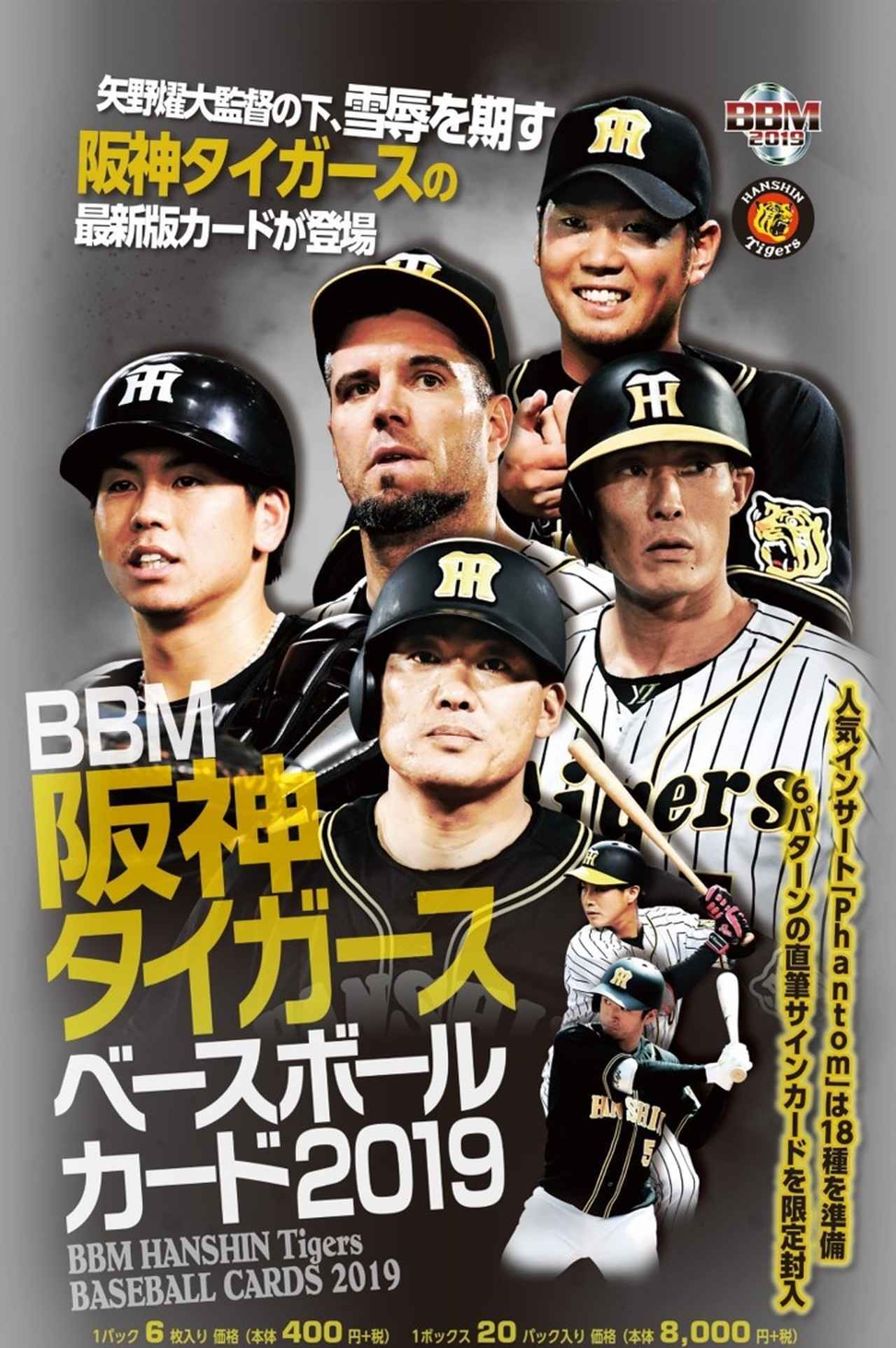 BBM 2019 東京ヤクルトスワローズカード　新品未開封BOX BBM東京ヤクルトスワローズ ベースボールカード2019 | BBMスポーツ