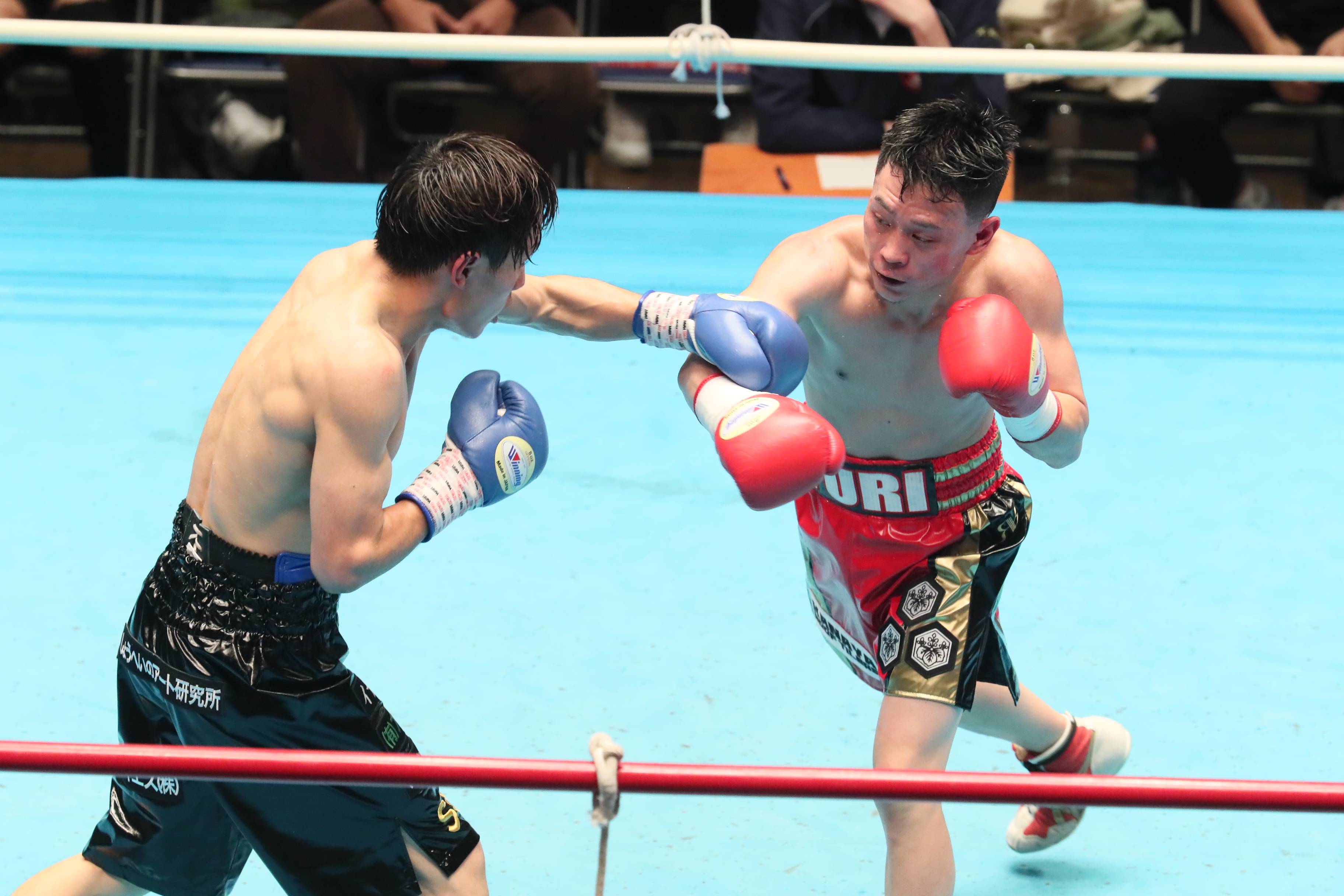 ボクシング】金谷はデビュー戦で元新人王・竹田に勝利。2戦目の大久は