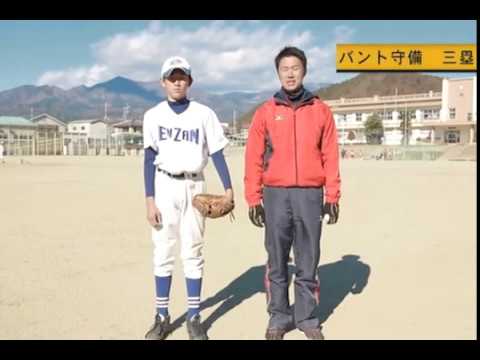 DVDブック これで完ぺき！ 野球 ピッチング・守備平井成二/著