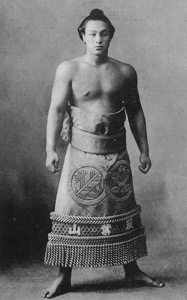 大相撲人気花形力士集天然色面子プロ当て＊プロマイド＊めんこ＊栃光