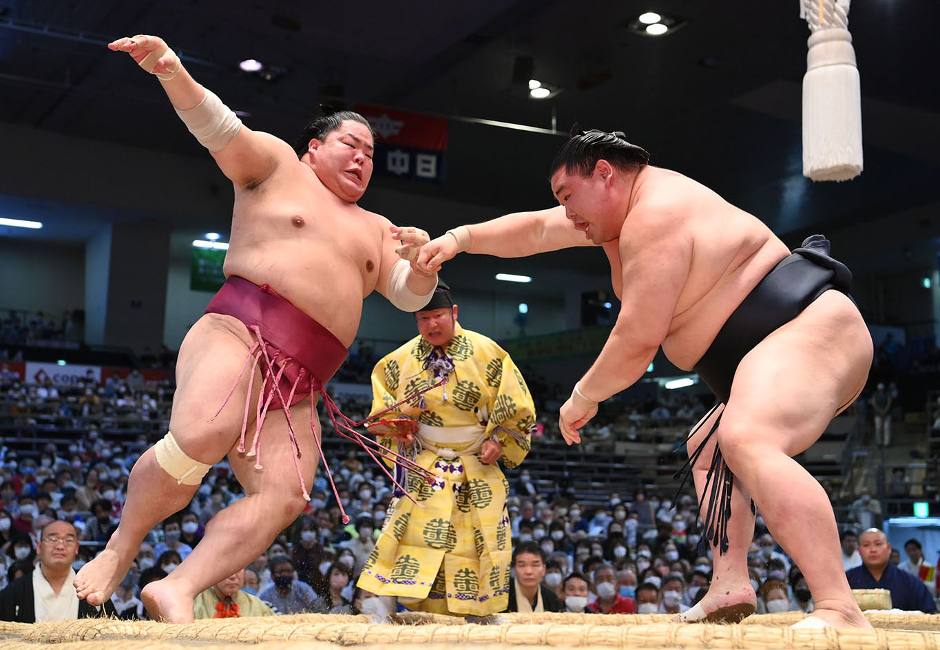 【相撲編集部が選ぶ名古屋場所6日目の一番】カド番正代、苦手の大栄翔を下して2勝目 | BBMスポーツ | ベースボール・マガジン社