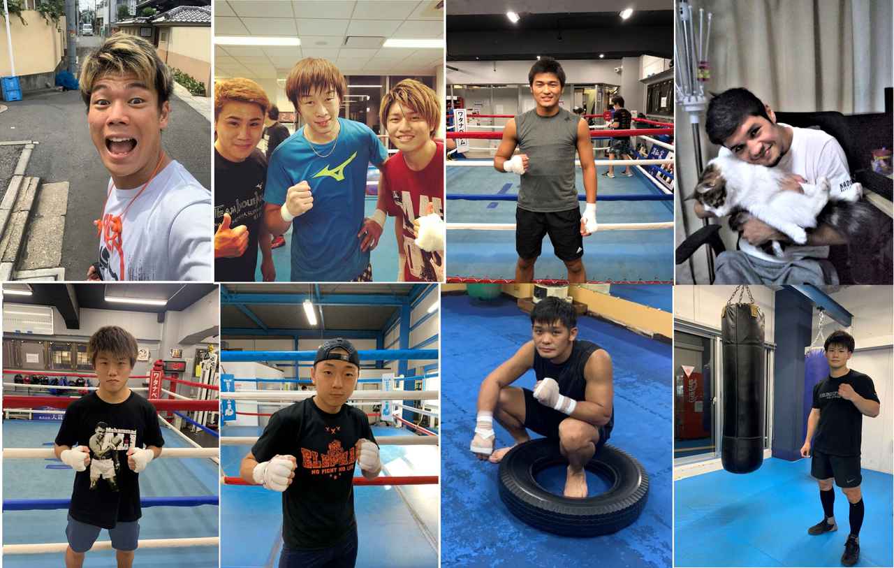 ボクシング Stay Home トップ選手16人は自粛期間をどう過ごしていたのか Part２ 東洋太平洋 ｗｂｏアジアパシフィック王者編 mスポーツ ベースボール マガジン社