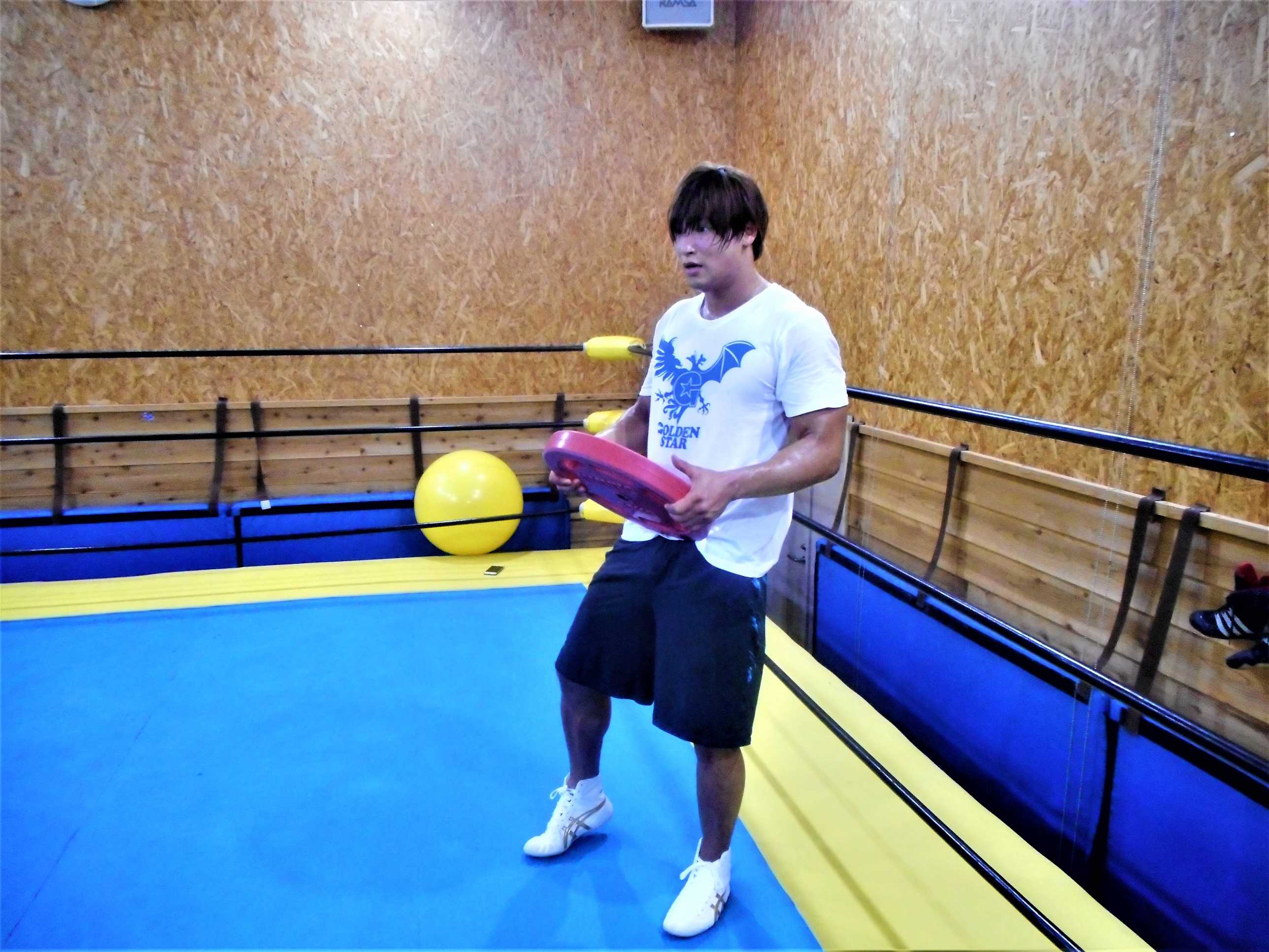 Reバース　飯伏　幸太　PP  プロレス 楽天市場】プロレス 飯伏幸太の通販