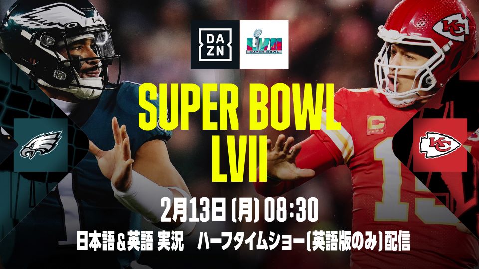 NFL 30 アメリカンフットボール アメフト ゴルフボール