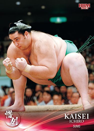 No.29 魁聖一郎(大相撲)