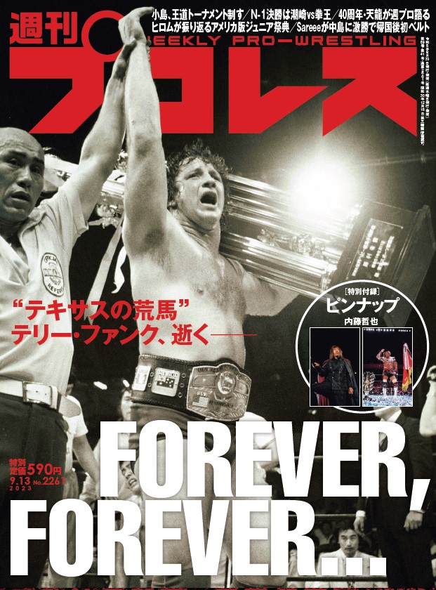 開封品　貴重！WWE クラシック限定版！全日　テリー・ゴディ&マイケル・ヘイズ 開封品 貴重！WWE クラシック限定版！全日 テリー・ゴディ