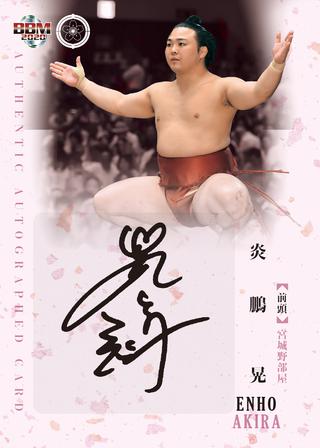 BBMカードコラム #2020-01 大相撲カード】人気沸騰中の炎鵬の