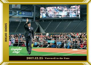 BBM 2018 Grateful Days 大谷翔平　ボールカード ミントモール / MINT VAULT店 (MSV委託品通販) / 2018 BBM 大谷