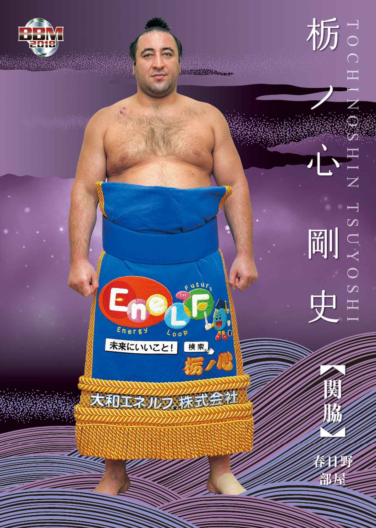 BBM2018大相撲カード Rikishi】大相撲の魅力を外国の方々にも