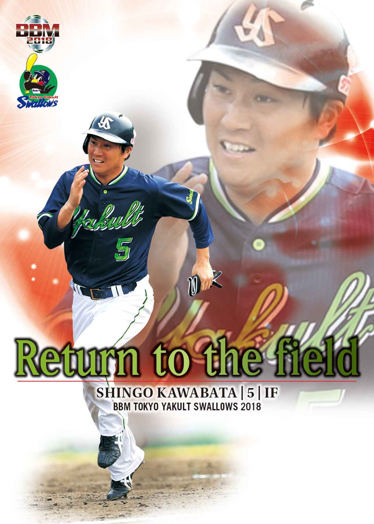 BBM東京ヤクルトスワローズベースボールカード2018】通常版、コンボ