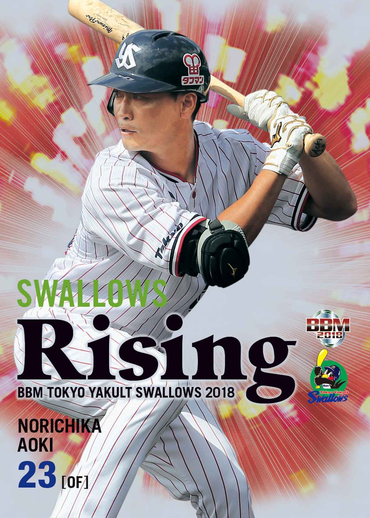 BBM東京ヤクルトスワローズベースボールカード2018】通常版、コンボ