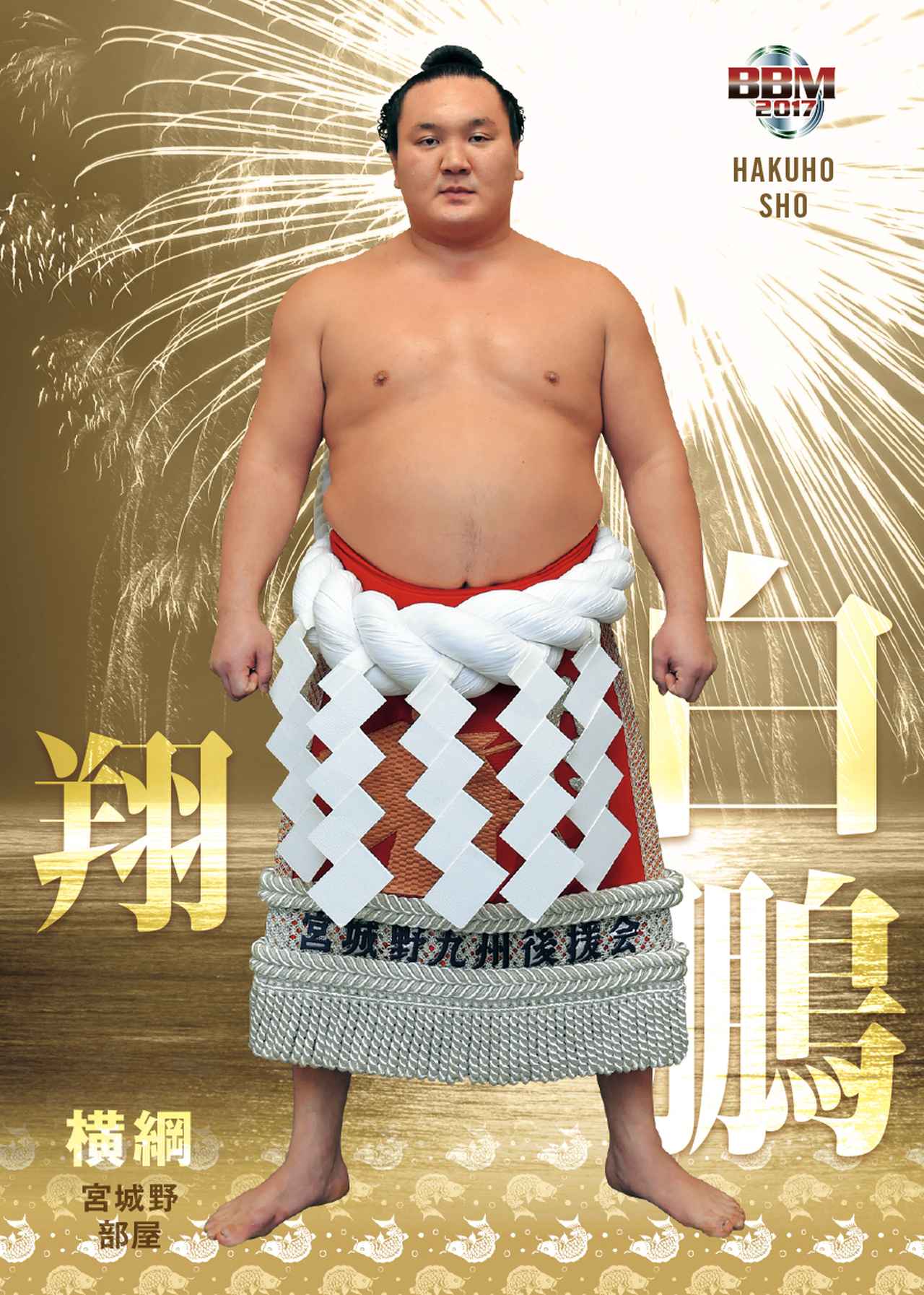 BBM 2017 大相撲カード 魂 13パック 希少 レア BBM2017大相撲カード 魂】稀勢の里の「横綱初カード」登場！その軌跡を