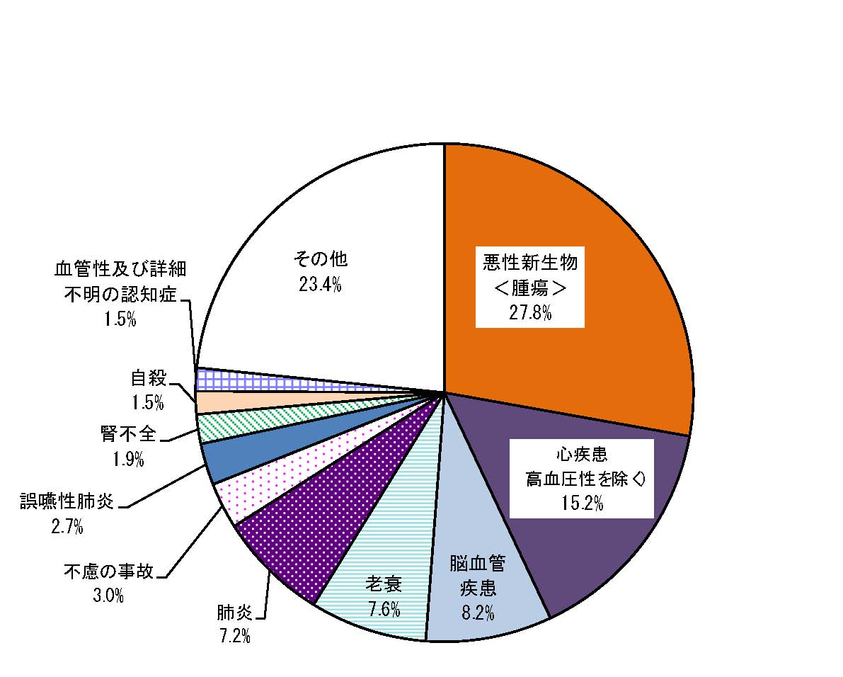 平成29年人口動態月報年計 厚労省 で 脳血管疾患 脳梗塞 脳出血 くも膜下出血 が日本人の死因の第３位に mスポーツ ベースボール マガジン社