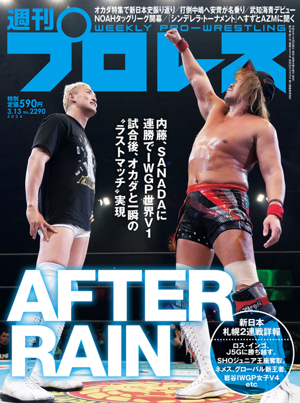 プロレス雑誌　週刊プロレス　週刊ゴング　32冊 レトロ。週間ゴング、週間プロレス増刊号。3冊セットです
