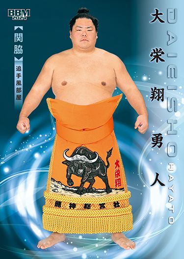 No.06　大栄翔 勇人