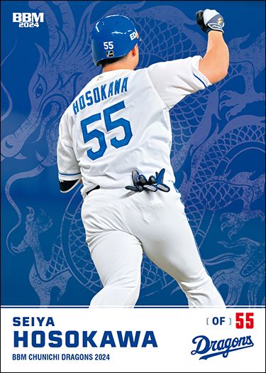 D67  細川成也（バリエーション版）
