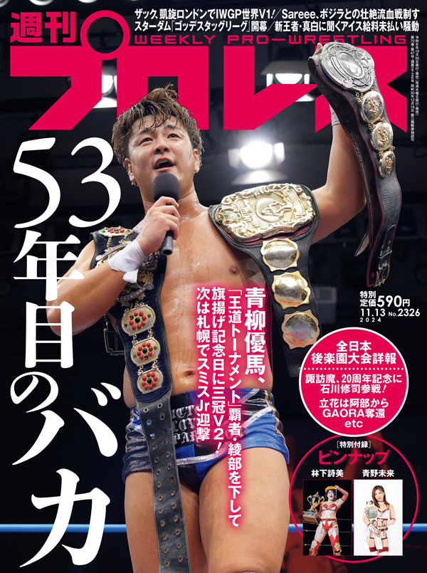 週末限定値下げ！！プロレス・アルバム全69冊 プロレス 週末限定値下げ