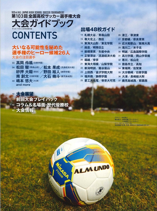 湘南ベルマーレ サインボール 南アフリカ大会記念 ベースボール