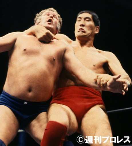 ジャイアント馬場 シリアルナンバー付 フィギュ アプロレス 全日本 NWA ジャイアント馬場 シリアルナンバー付 フィギュ アプロレス