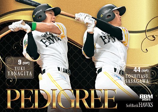 H81 柳田悠岐&笹川吉康