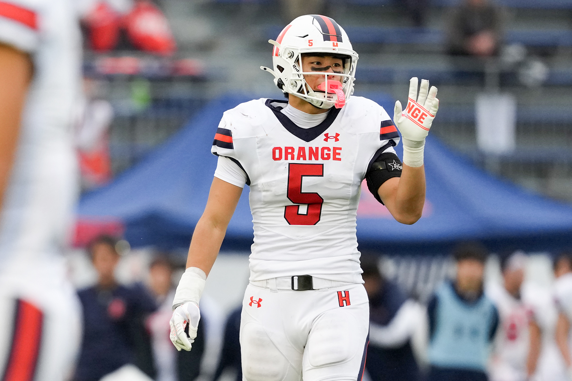 main_c089c40f5d136f3b0b91e4d5f