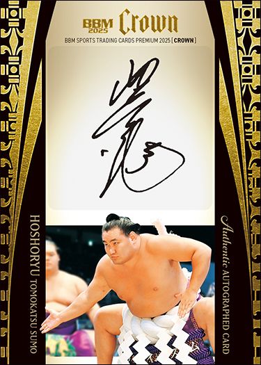 直筆サインカード（縦版）豊昇竜 智勝