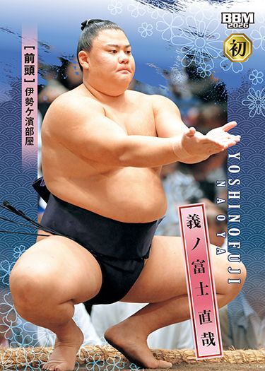 No.16　義ノ富士 直哉