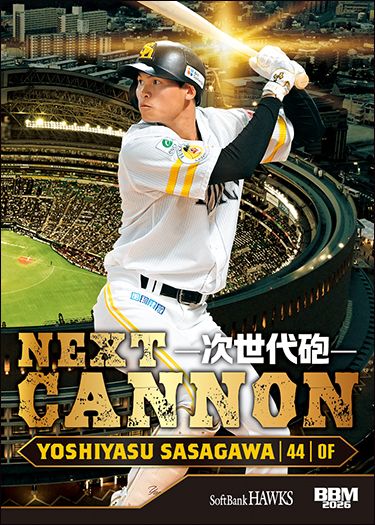 H81 笹川吉康