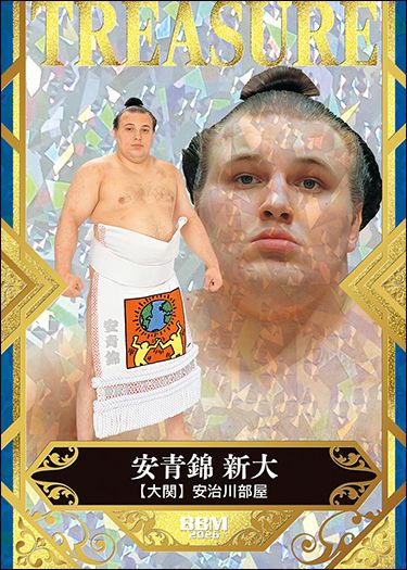 TSM3 安青錦 新大