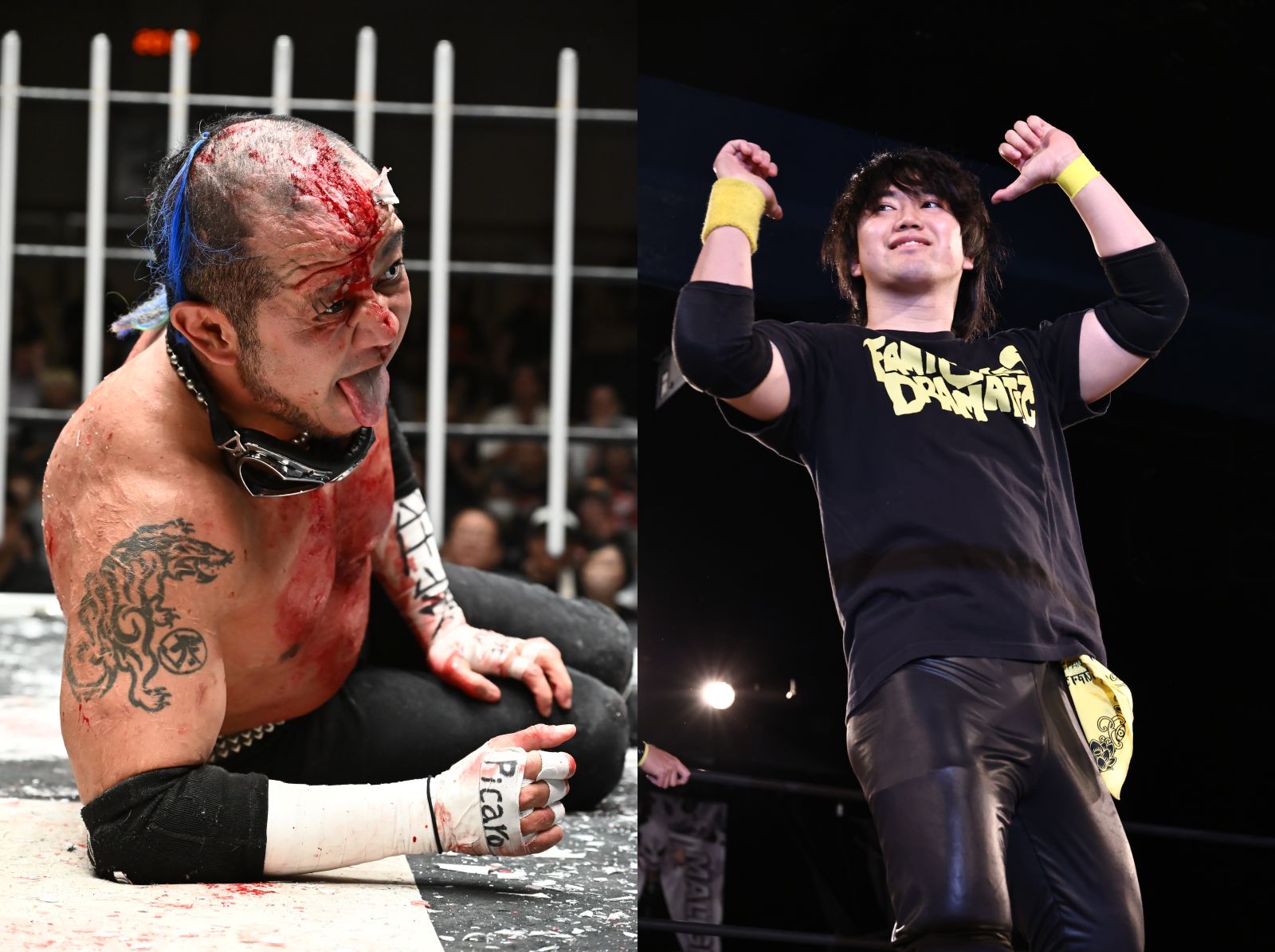 DDT8・11両国国技館でのタッグ結成を前に葛西純＆陽向父子が初対談