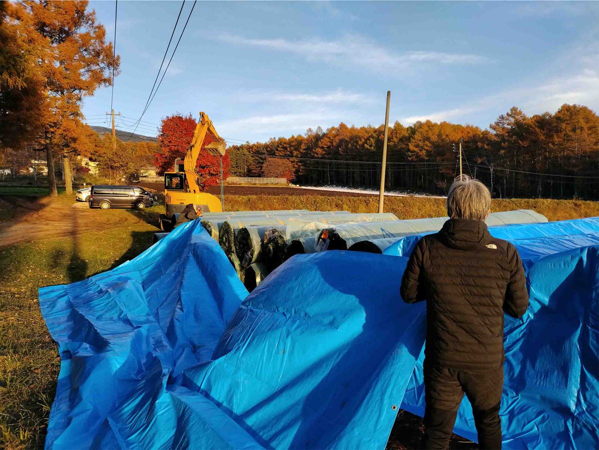 並べ終えた人工芝ロールをブルーシートでカバーして養生