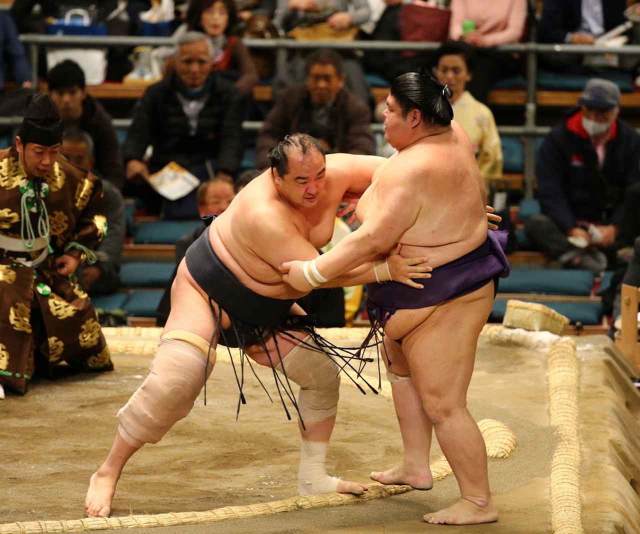 相撲 ?media_id=3283271404212553138