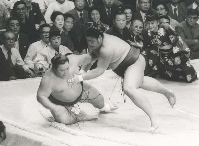 【新品・未使用】相撲 反物 琴風 豪規 楽天市場】琴風豪規関 優勝ミニ額 大相撲ミニ額 大相撲優勝額