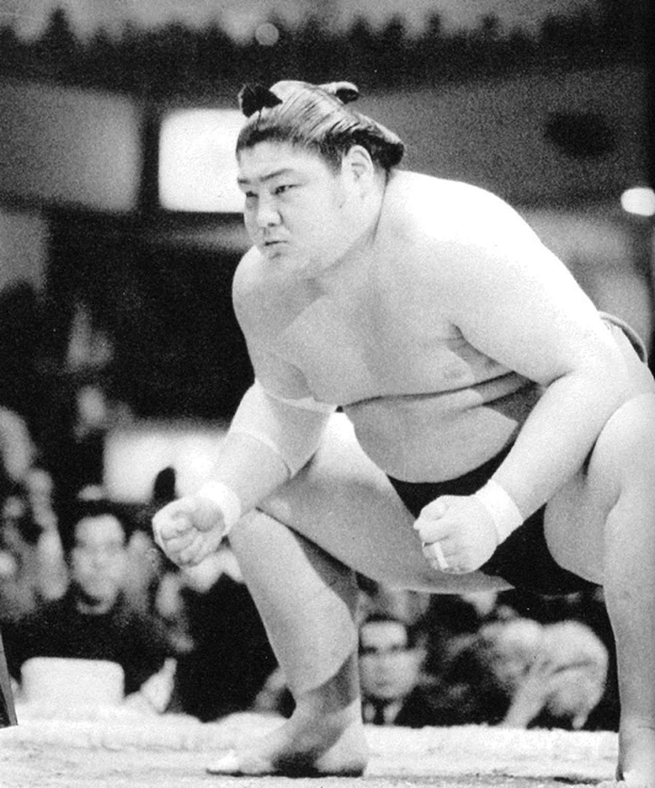 【新品・未使用】相撲 反物 琴風 豪規 昭和58年1月場所優勝 大関 琴風豪規関（2回目の優勝