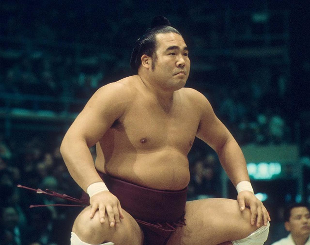 相撲を見る眼　相撲もの知り博士 相撲を見る眼 相撲もの知り博士