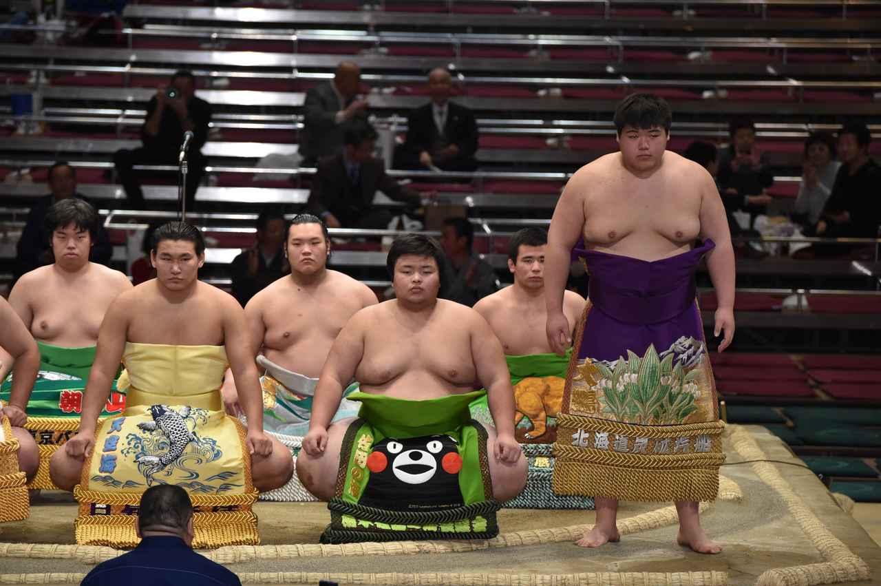 1月のナイスショット】 大横綱大鵬の孫 納谷幸之介がデビュー!! | BBM
